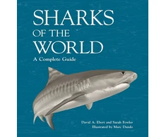 KNYGA David A Ebert Sharks of the World