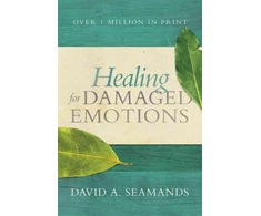 KNYGA David A Seamands for Damaged Emotions
