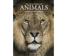 KNYGA David Alderton Encyclopedia of Animals