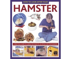 KNYGA David Alderton How to Look After Your Hamster