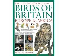 KNYGA David Alderton Illustrated Encyclopedia of Birds of Britain Europe &amp; Africa, A Comprehensive Visual Guide and Identifier to Over 550 Birds