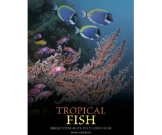 KNYGA David Alderton Tropical Fish, From Stingrays to Clown Fish