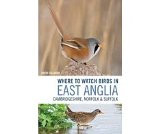 KNYGA David Callahan Where to Watch Birds in East Anglia
