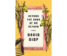 KNYGA David Diop Beyond the Door of No Return