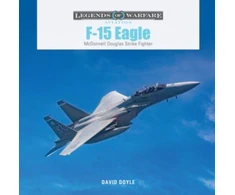 KNYGA David Doyle F-15 Eagle