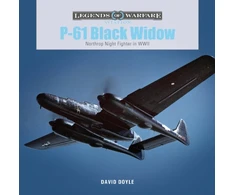 KNYGA David Doyle P-61 Juodas Widow