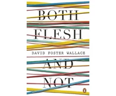 KNYGA David Foster Wallace Both Flesh And Not