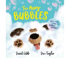 KNYGA David Gibb Too Many Bubbles