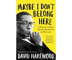 KNYGA David Harewood Maybe I Don't Belong Here