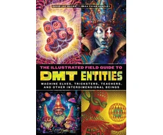 KNYGA David Jay Brown Illustrated Field Guide to DMT Entities