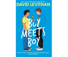 KNYGA David Levithan Boy Meets Boy