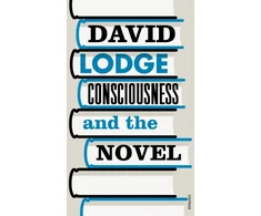 KNYGA David Lodge Consciousness and the Novel