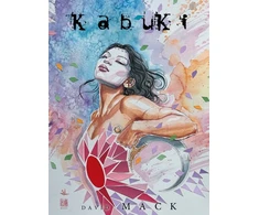 KNYGA David Mack Complete Kabuki: 30th Anniversary Edition