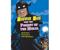 KNYGA David Orme Boffin Boy and the Forest of the Ninja