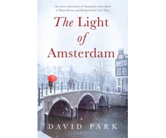 KNYGA David Park Light of Amsterdam
