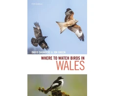 KNYGA David Saunders Where to Watch Birds in Wales