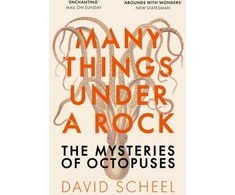 KNYGA David Scheel Many Things Under a Rock