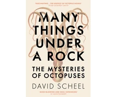 KNYGA David Scheel Many Things Under a Rock