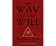 KNYGA David Shoemaker Way of the Will