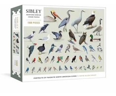 KNYGA David Sibley Sibley Backyard Birding Puzzle, 1000-Piece Jigsaw Puzzle with Portraits of Favorite North American Birds