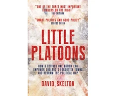 KNYGA David Skelton Little Platoons