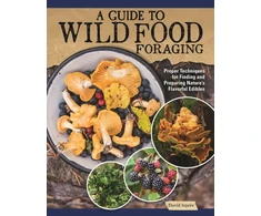 KNYGA David Squire Guide to Wild Food Foraging