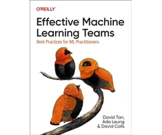 KNYGA David Tan Effective Machine Learning Teams
