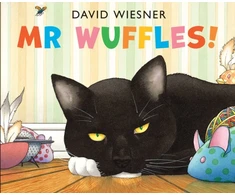 KNYGA David Wiesner Mr Wuffles!