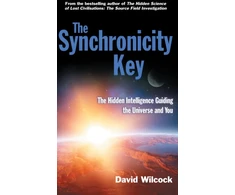 KNYGA David Wilcock Synchronicity Key
