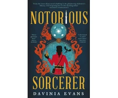 KNYGA Davinia Evans Notorious Sorcerer