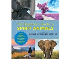 KNYGA Dawn Baumann Brunke Beginner's Guide to Spirit Animals