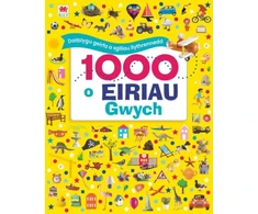 KNYGA Dawn Sirett 1000 o Eiriau Gwych