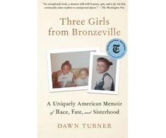 KNYGA Dawn Turner Three Girls from Bronzeville