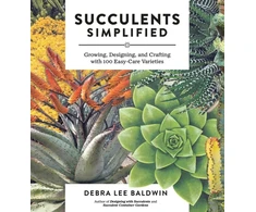 KNYGA Debra Lee Baldwin Succulents Simplified