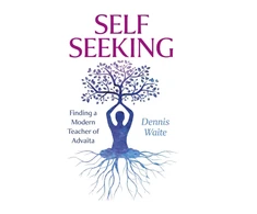 KNYGA Dennis Waite SELF SEEKING, Finding a Modern Teacher of Advaita