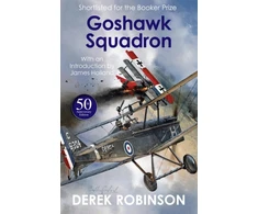 KNYGA Derek Robinson Goshawk Squadron