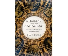 KNYGA Diana Darke Stealing from the Saracens