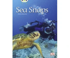 KNYGA Diana Noonan Bug Club Independent Non Fiction Year 1 Žalias A Sea Snaps