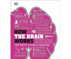 KNYGA Dk Publishing How the Brain Works