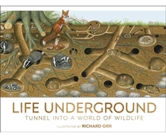 KNYGA Dk Publishing Life Underground