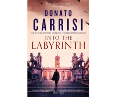 KNYGA Donato Carrisi Into the Labyrinth