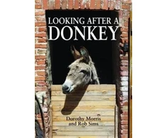 KNYGA Dorothy Morris Looking After a Donkey