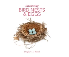 KNYGA Douglas G. D. Russell Interesting Bird Nests and Eggs