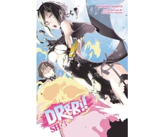 KNYGA Durarara!! SH, Vol. 3 (light novel)