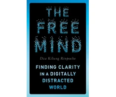 KNYGA Dza Kilung Rinpoche Free Mind