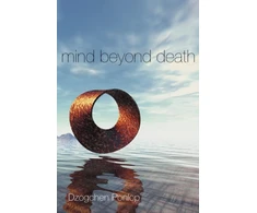 KNYGA Dzogchen Ponlop Mind Beyond Death