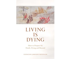 KNYGA Dzongsar Jamyang Khyentse Living is Dying