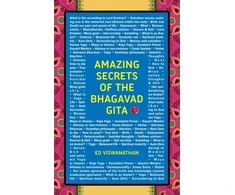 KNYGA Ed Viswanathan Amazing Secrets of the Bhagavad Gita