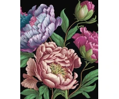 KNYGA Editors of Chartwell Books Peonies Journal
