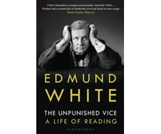 KNYGA Edmund White Unpunished Vice